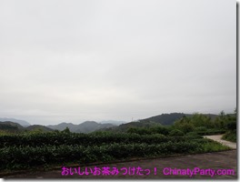 P5310006