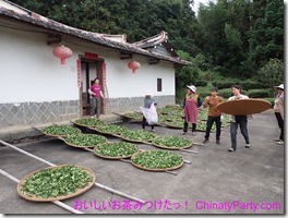 PA250010 PA250010
