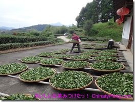 PA250017 PA250017