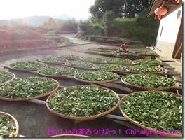 PA250021 PA250021